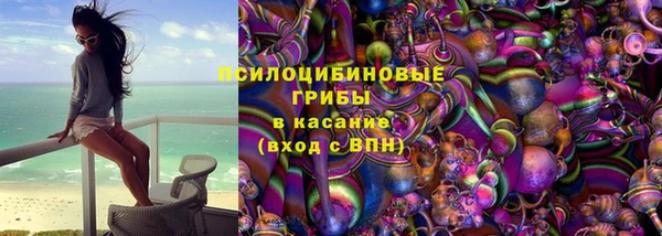 амф Краснослободск